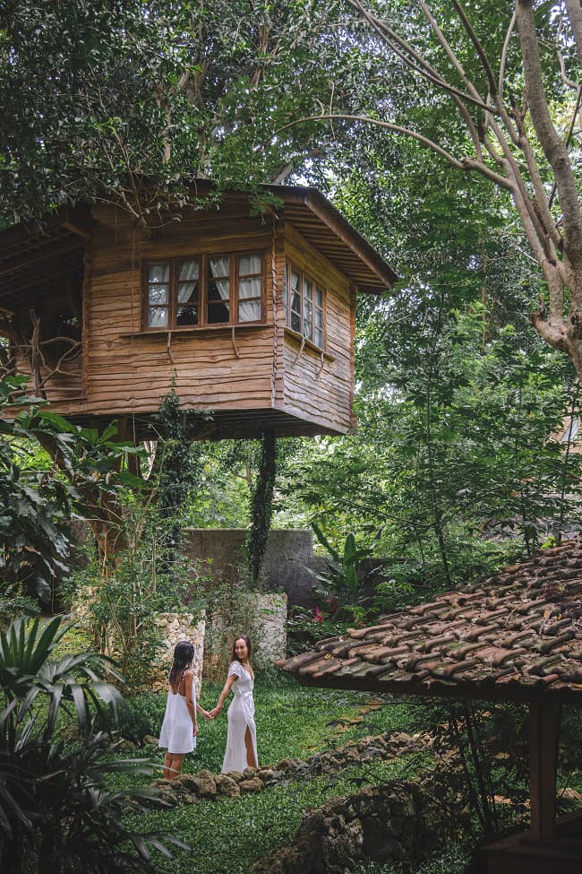 Roots Tree House 91
