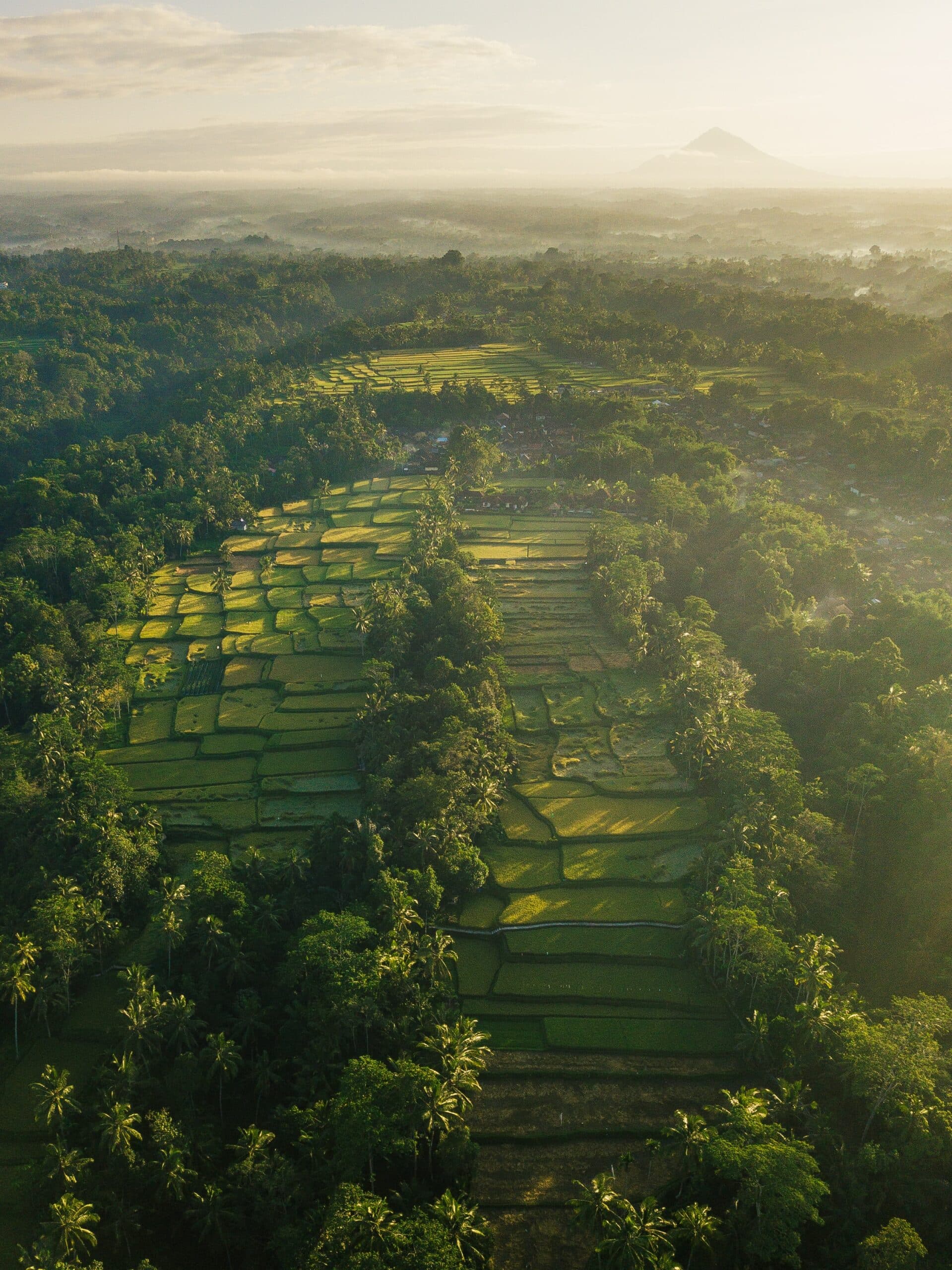 Circuit Bali 6 Jours : Culture, Forêts, Plages et Récifs Coralliens 1