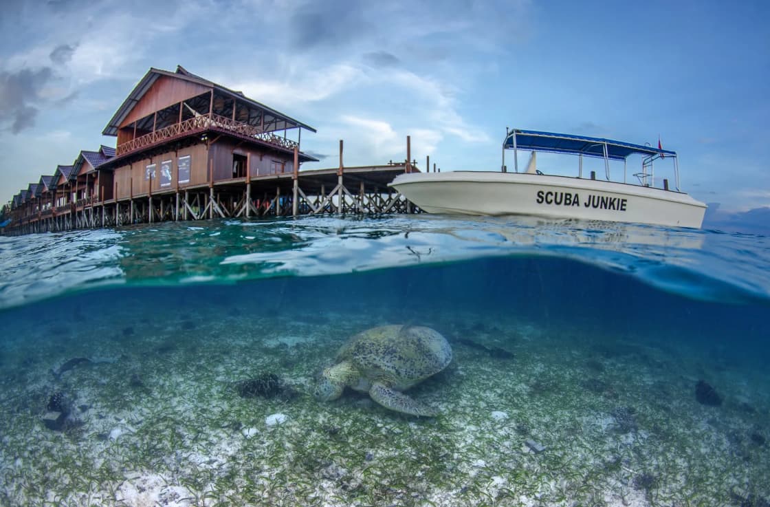 Scuba Junkie Water Bungalow Dive Resort