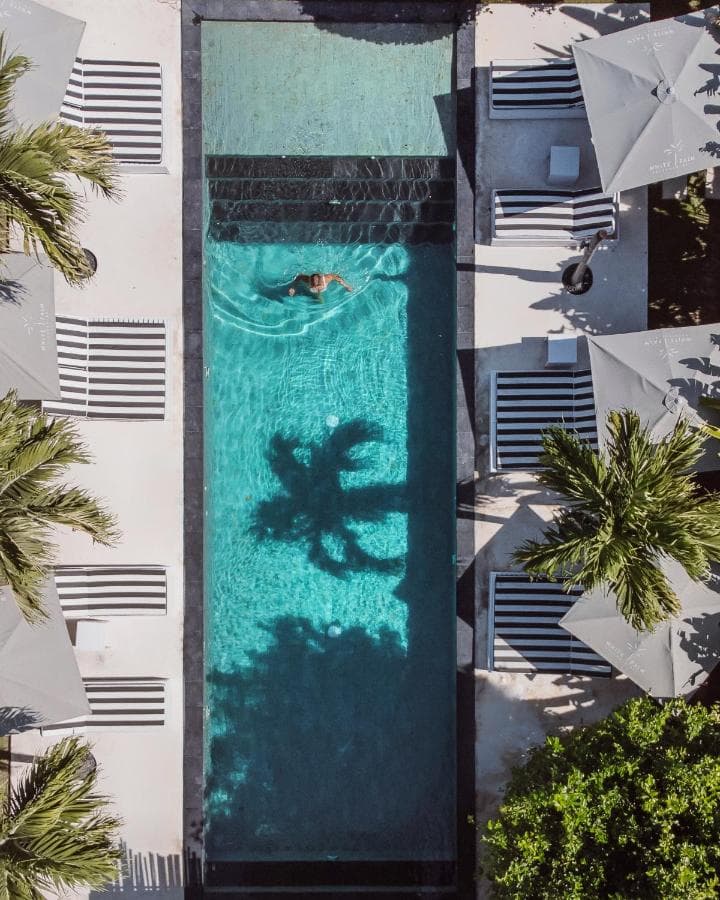 White Palm Hotel 1