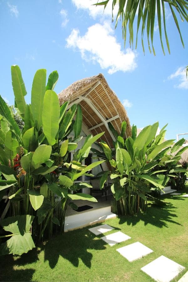 White Palm Hotel 26