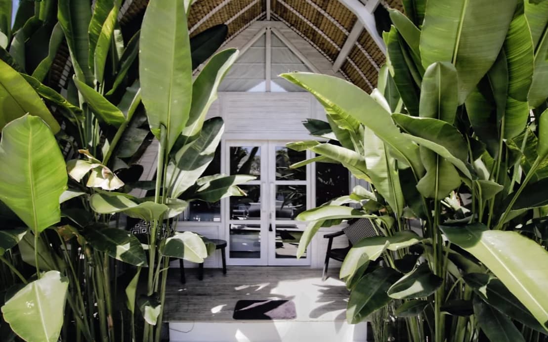 White Palm Hotel 29