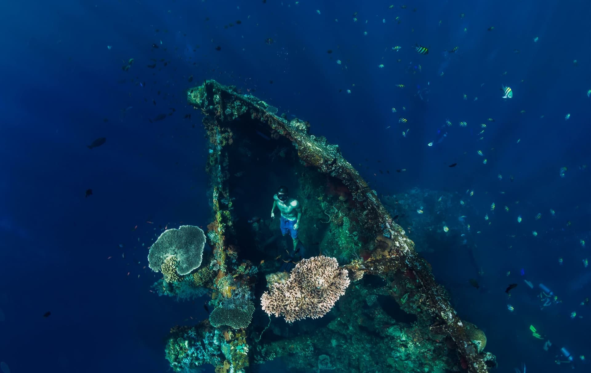 The USAT Liberty Wreck – History of Bali’s Most Popular Dive Site