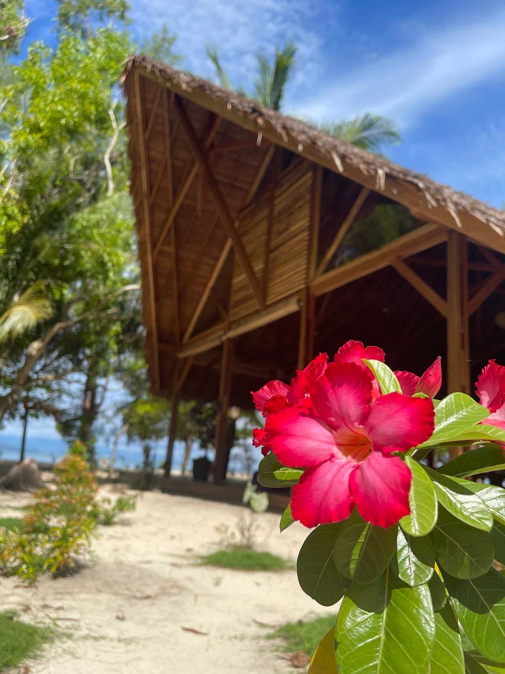 Saronde Island Resort Blue Bay Divers 1