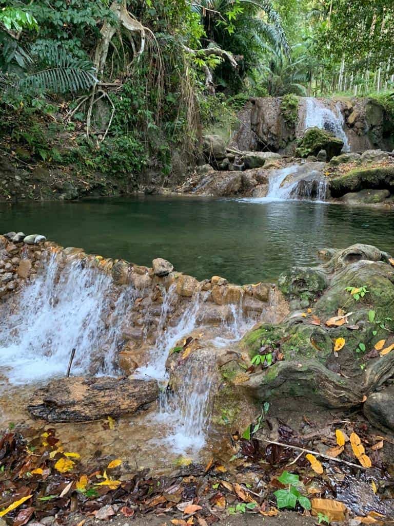 Alor Tanapi 1