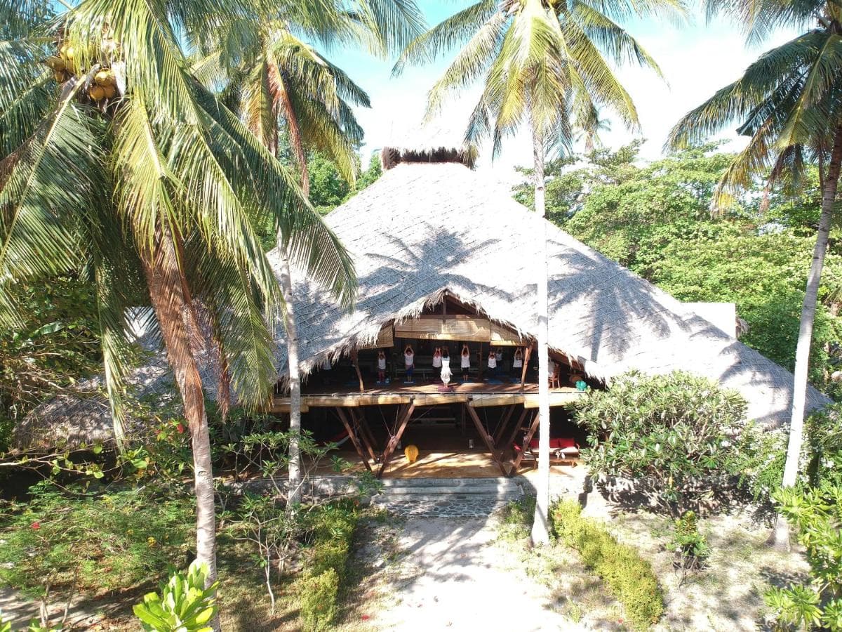 Coral Eye 17