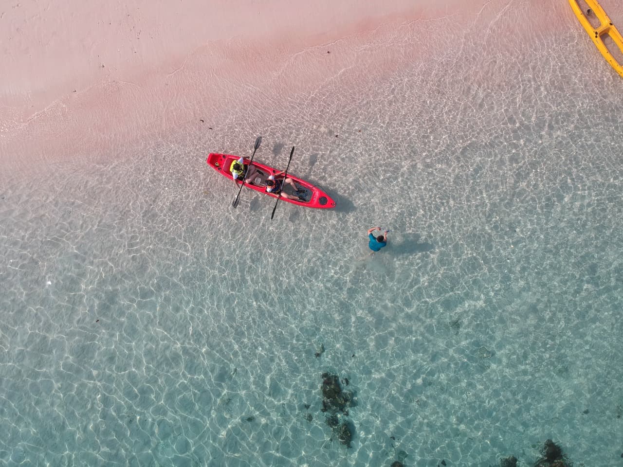 Sea Familia II 29