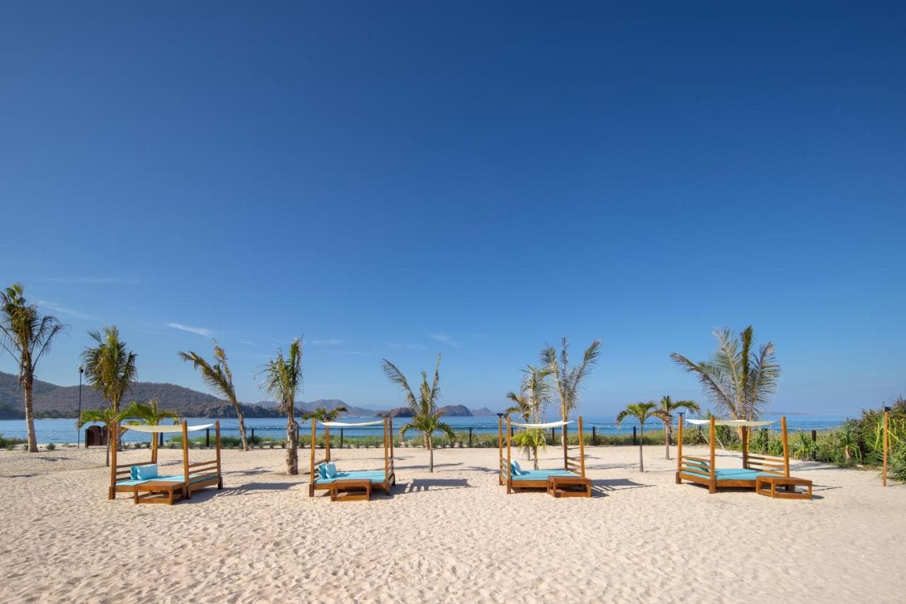 Mocean Dive Resort 25