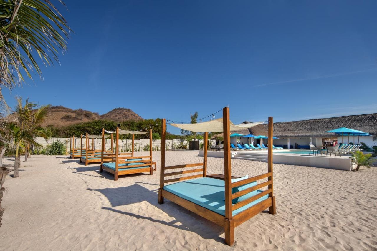 Mocean Dive Resort 26