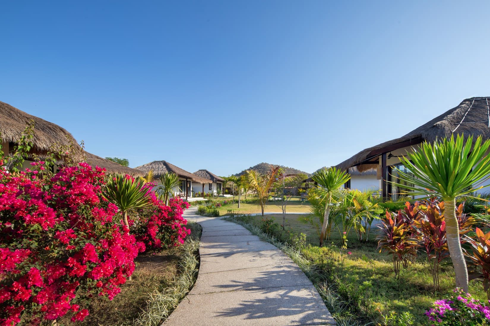 Mocean Dive Resort 6