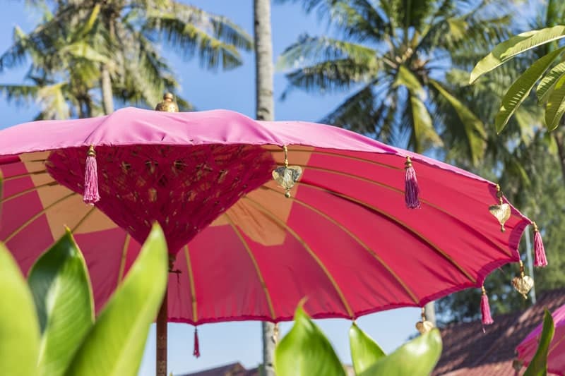 Pink Coco Gili Air 43