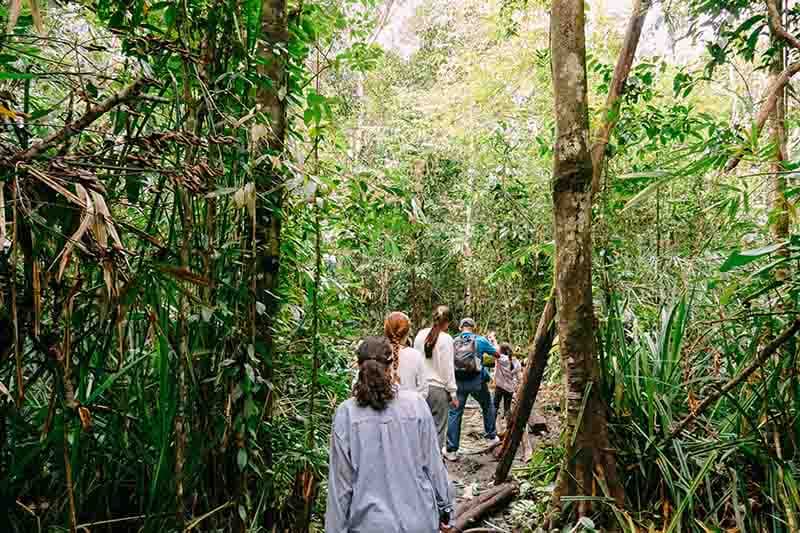 Safari Orangs-Outans à Tanjung Puting – Bornéo 18