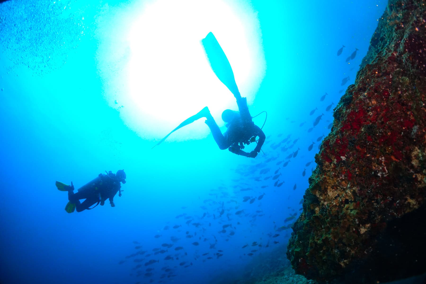Nusa Penida Scuba Diving Day Trip From Bali 18