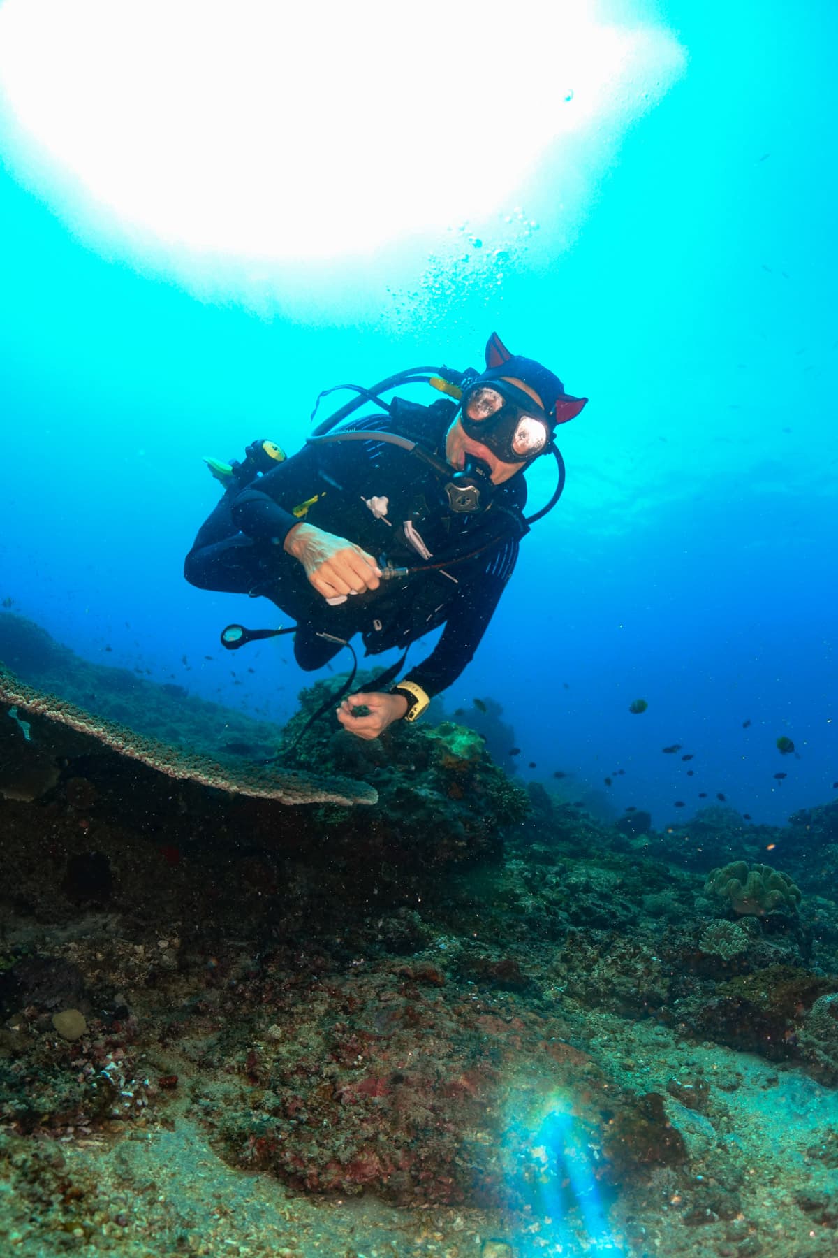 Nusa Penida Scuba Diving Day Trip From Bali 12