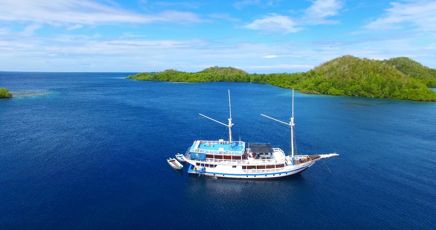 Pearl of Papua 20