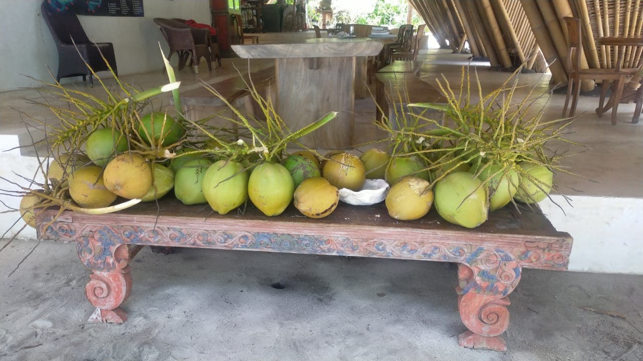 Alycastre Eco Dive Resort 15