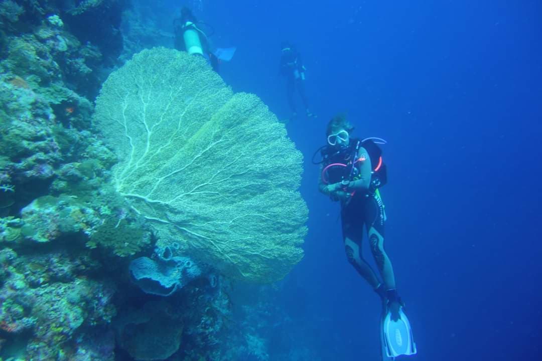 Alycastre Eco Dive Resort 7