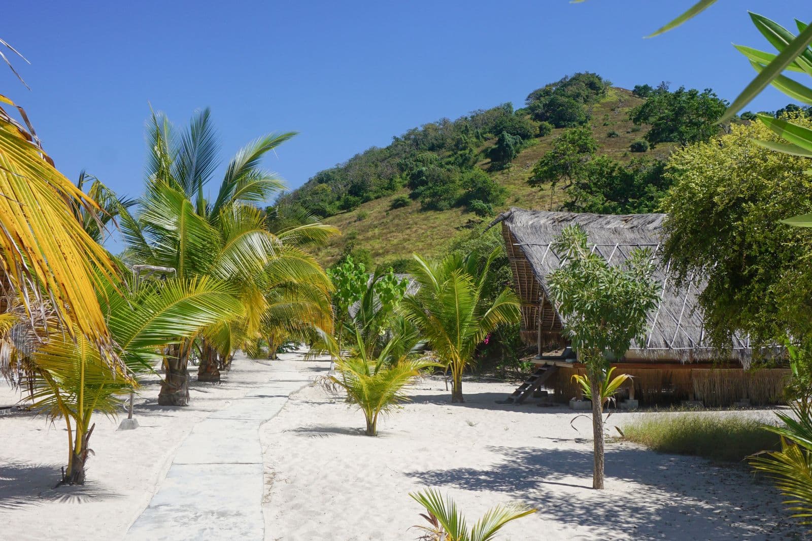 Le Pirate Island 21