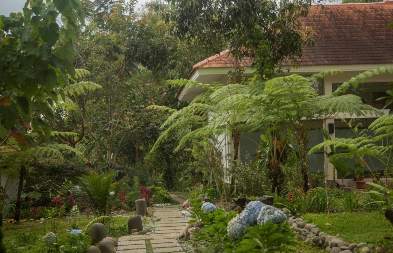 Ara Garden Inn 11