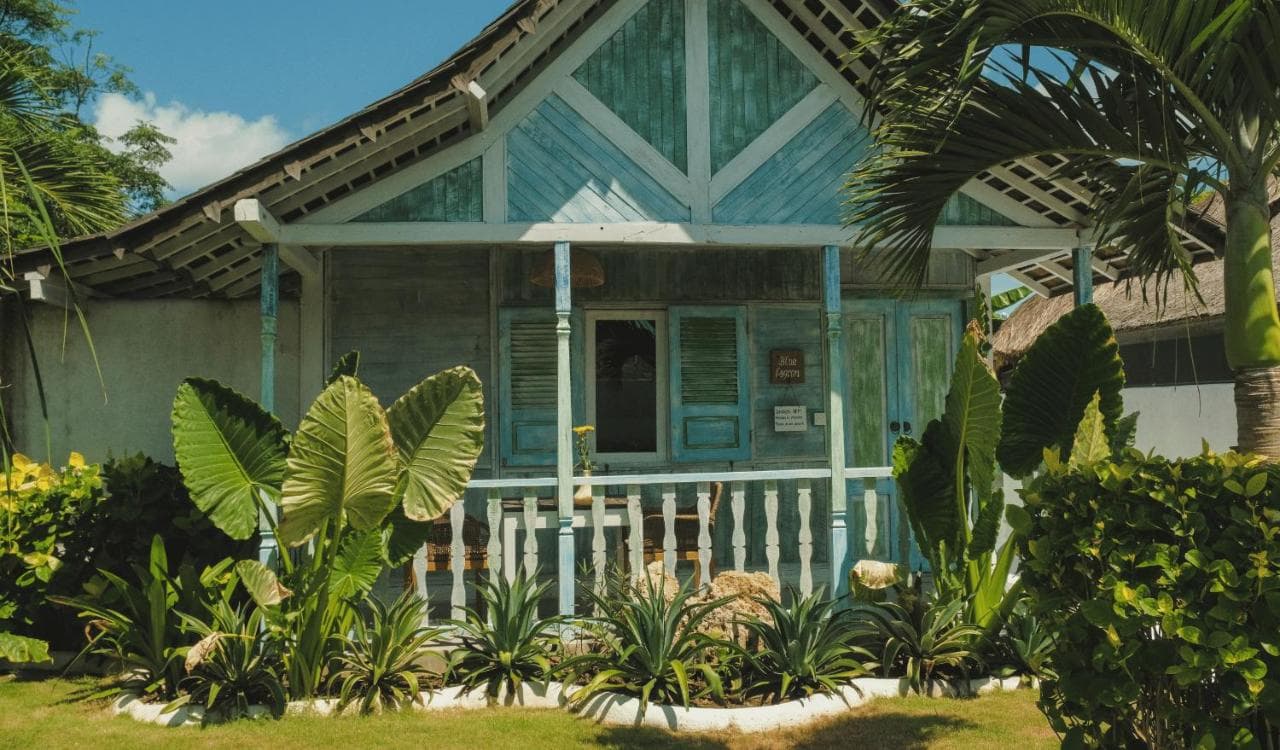 The Shacks