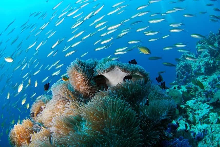 Raja Ampat Explorer 11