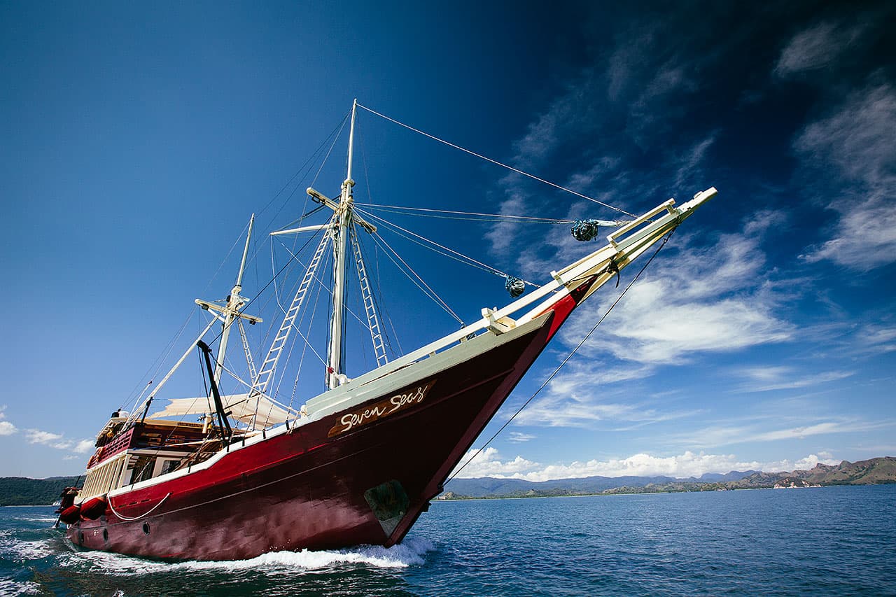 The Seven Seas 5