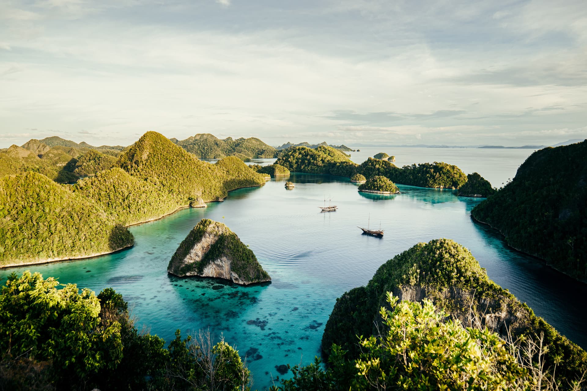 Senja 12