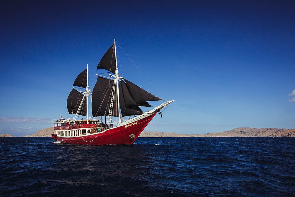 The Seven Seas 1