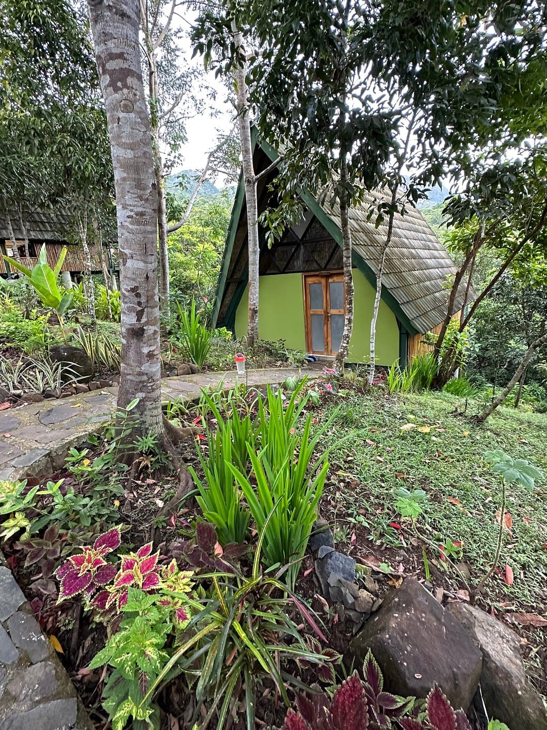 Mbeliling Mountain Ecolodge 5