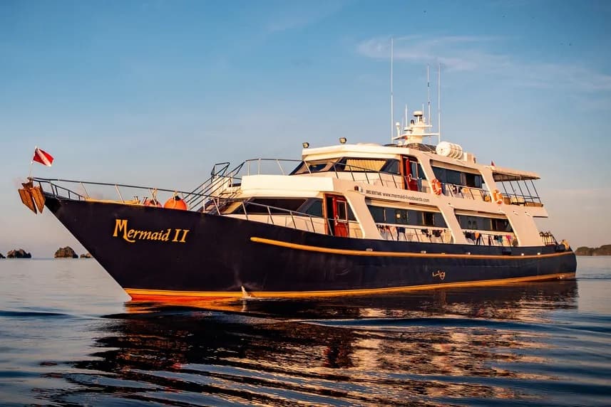 Mermaid II 19