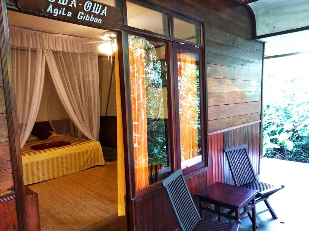 Rimba Orangutan Ecolodge 7
