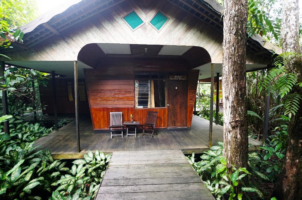 Rimba Orangutan Ecolodge