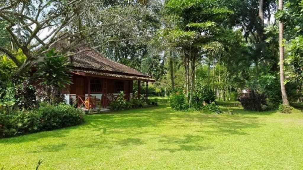 Satwa Elephant Ecolodge 7