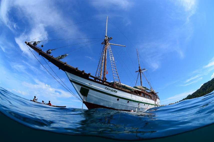 Tambora 5