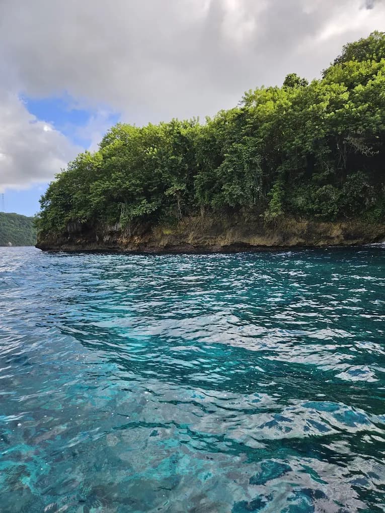 Private Snorkeling Trip With Manta Rays in Nusa Penida 1