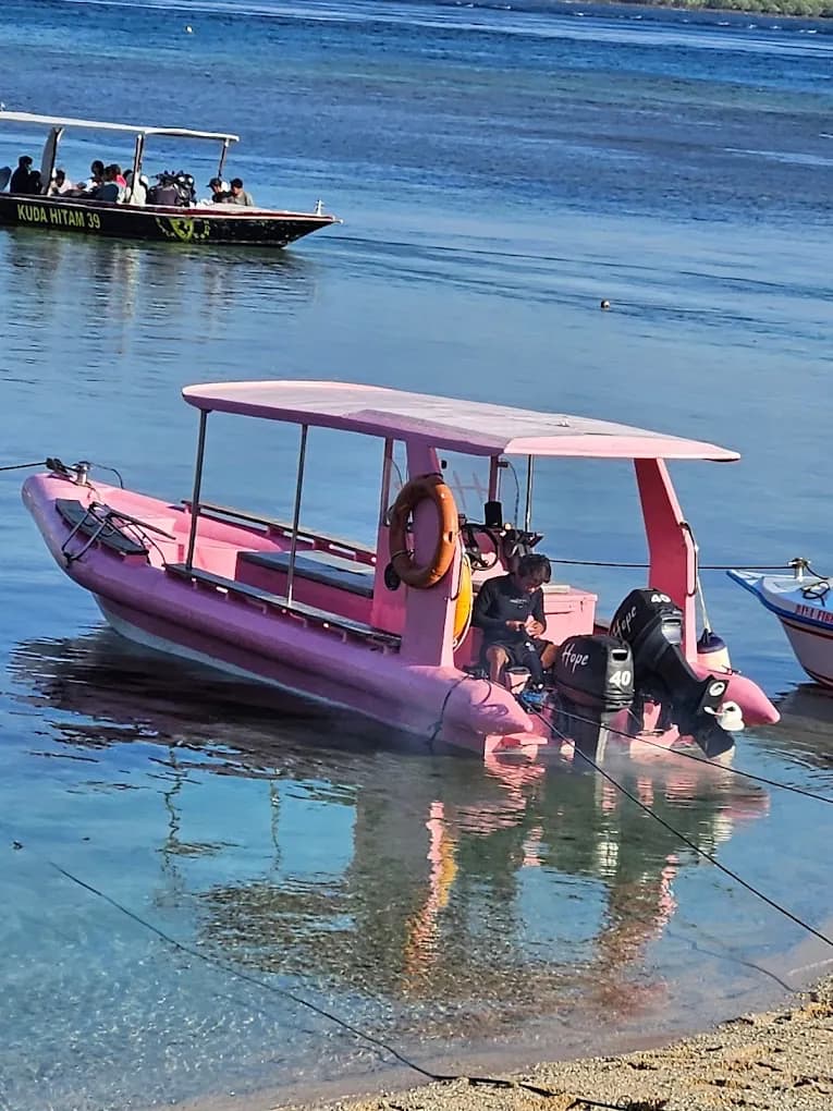 Private Snorkeling Trip With Manta Rays in Nusa Penida 4
