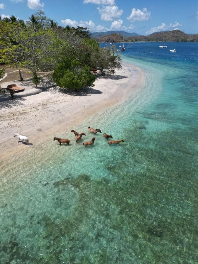 Gili Asahan Eco Lodge 32