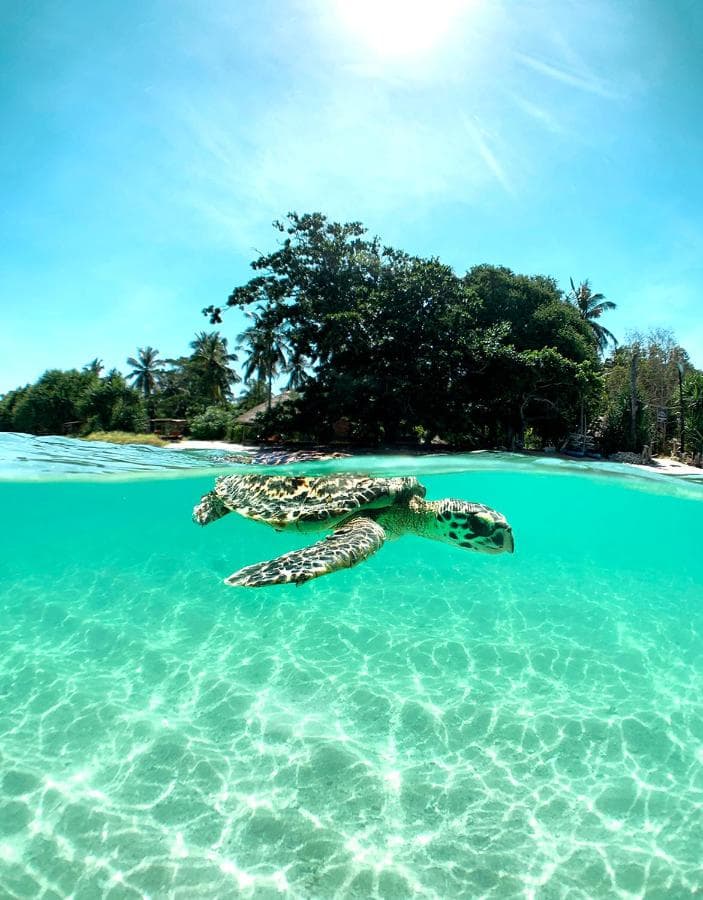 Gili Asahan Eco Lodge 35