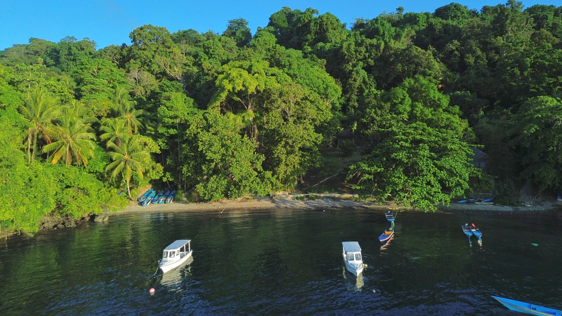 Ambon Dive Resort 28