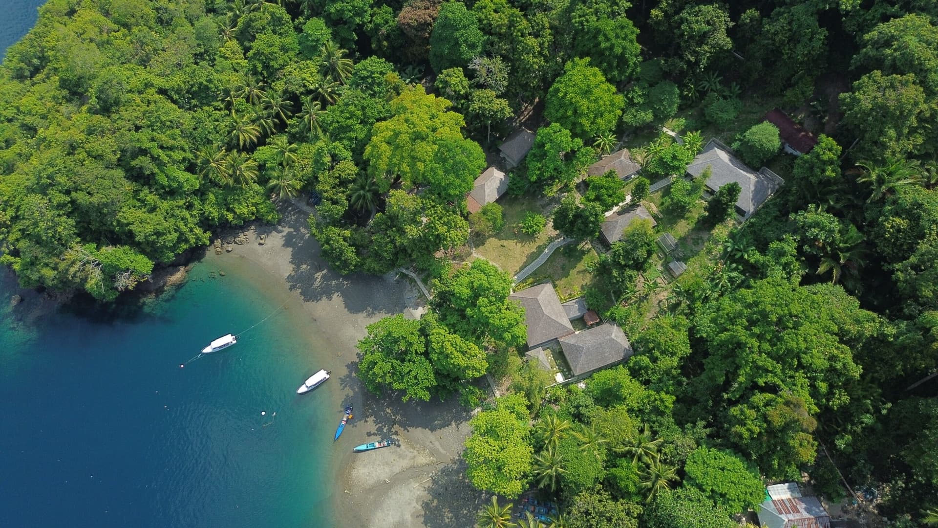 Ambon Dive Resort