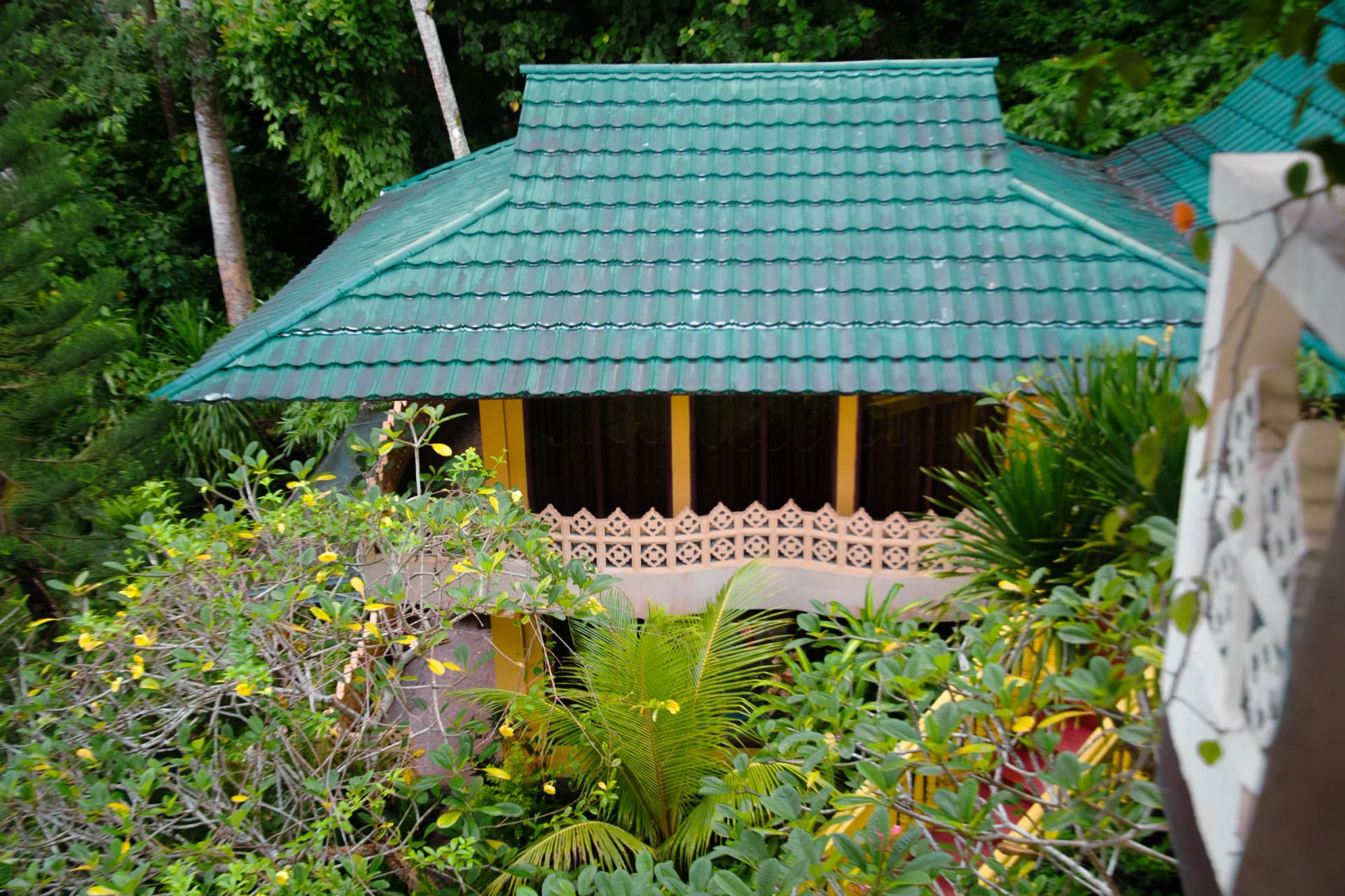 Tangkoko Sanctuary Villa 1