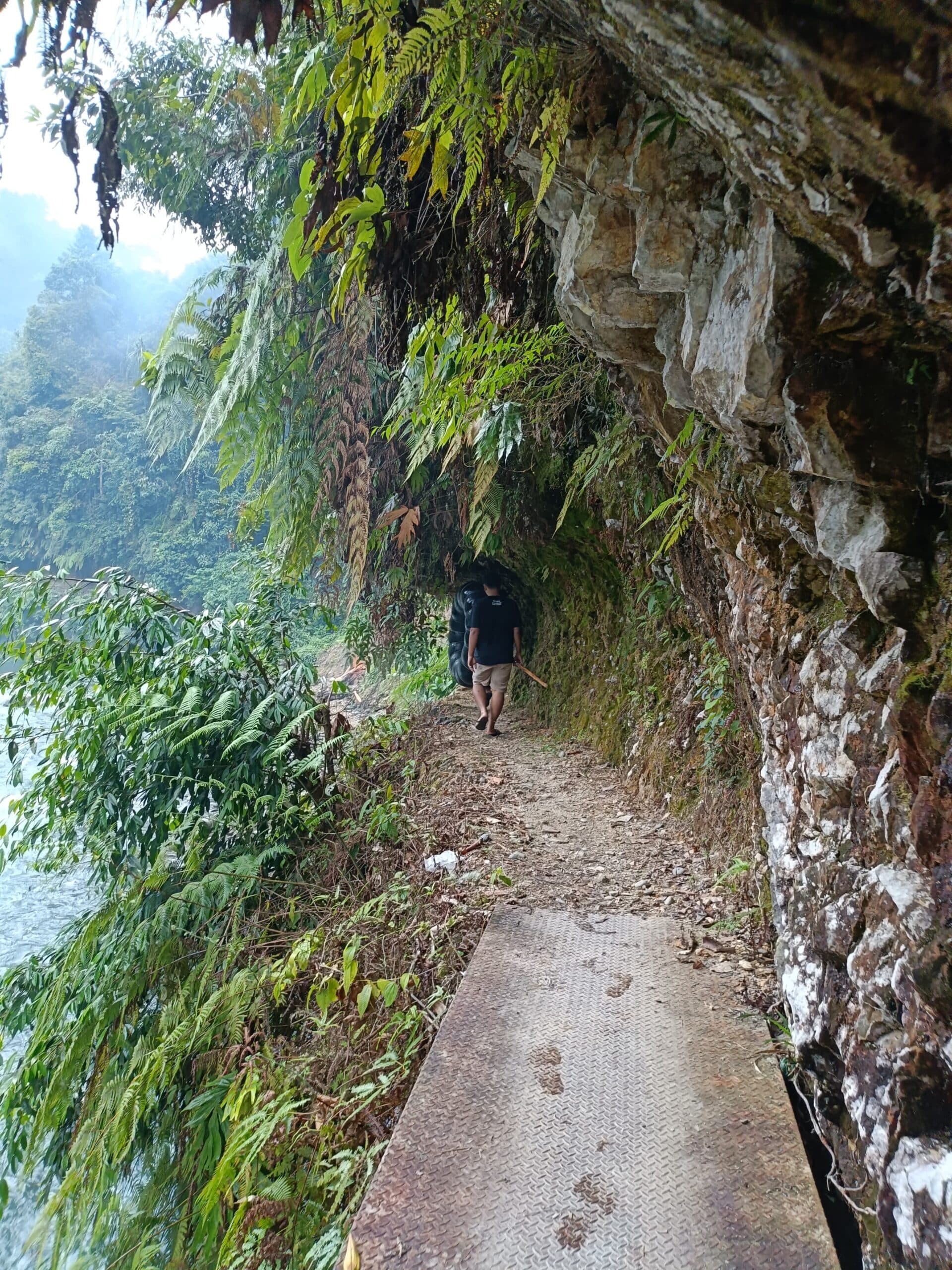 Orangutan Day Trip in Bukit Lawang 3