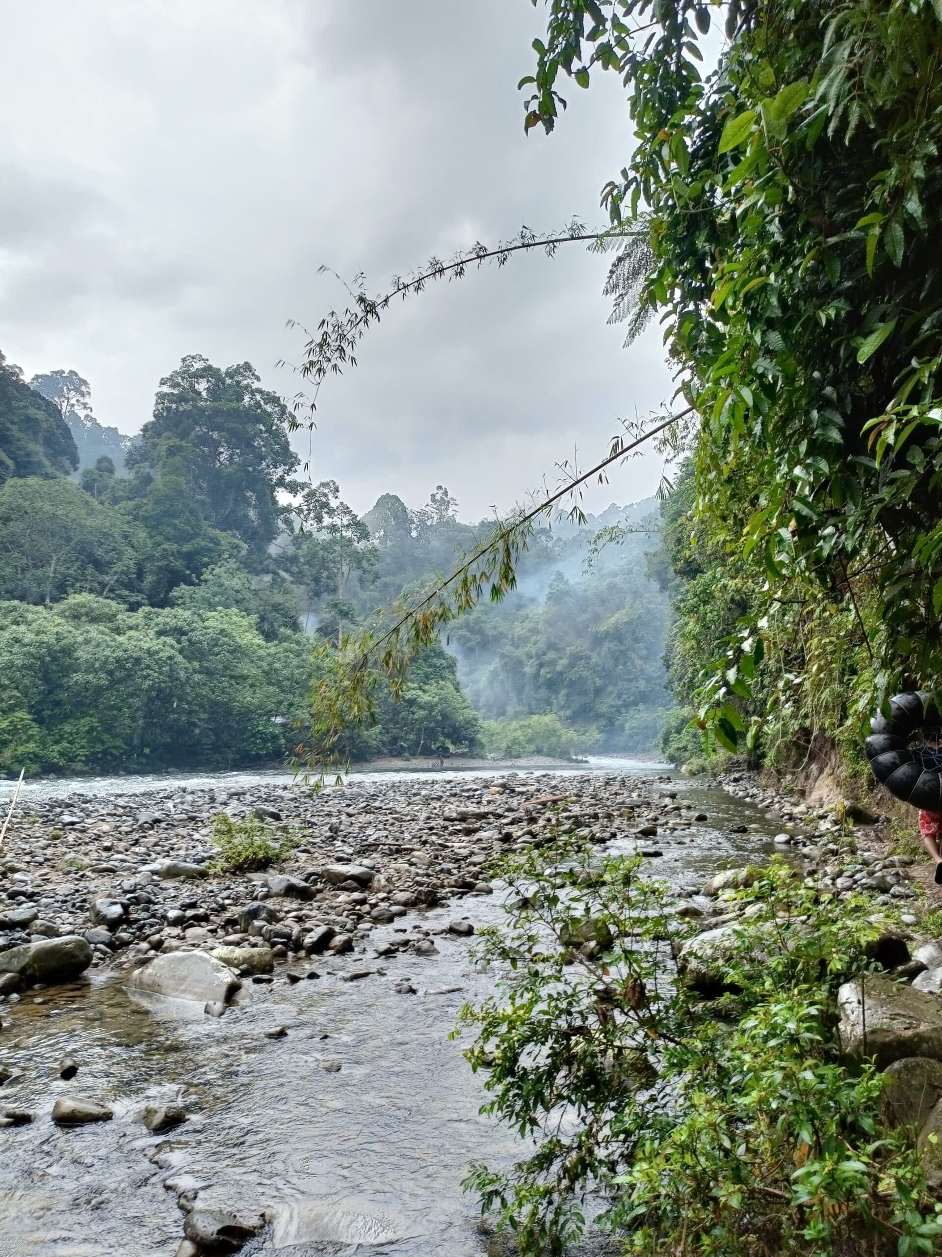 Orangutan Day Trip in Bukit Lawang 5