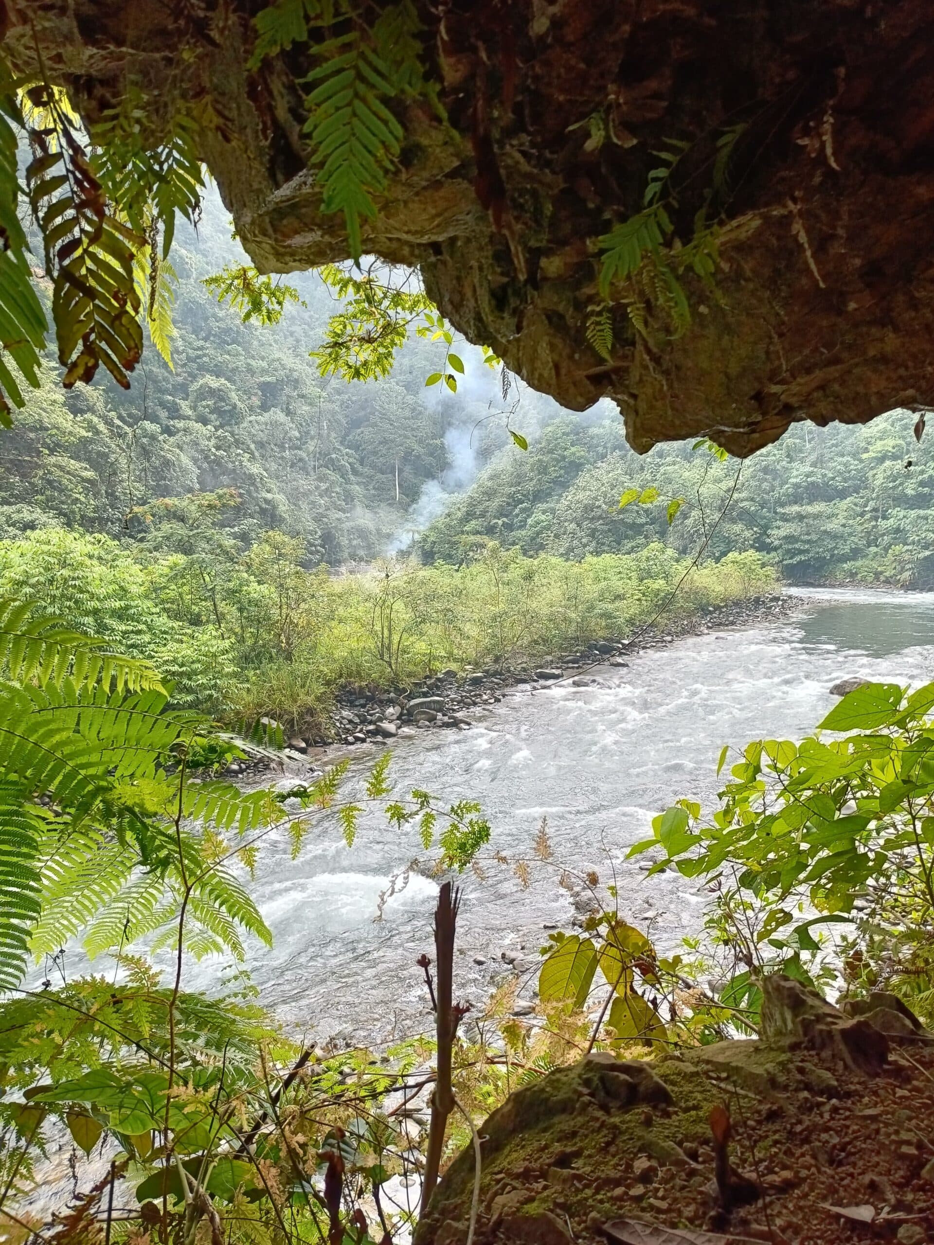 Orangutan Day Trip in Bukit Lawang 4