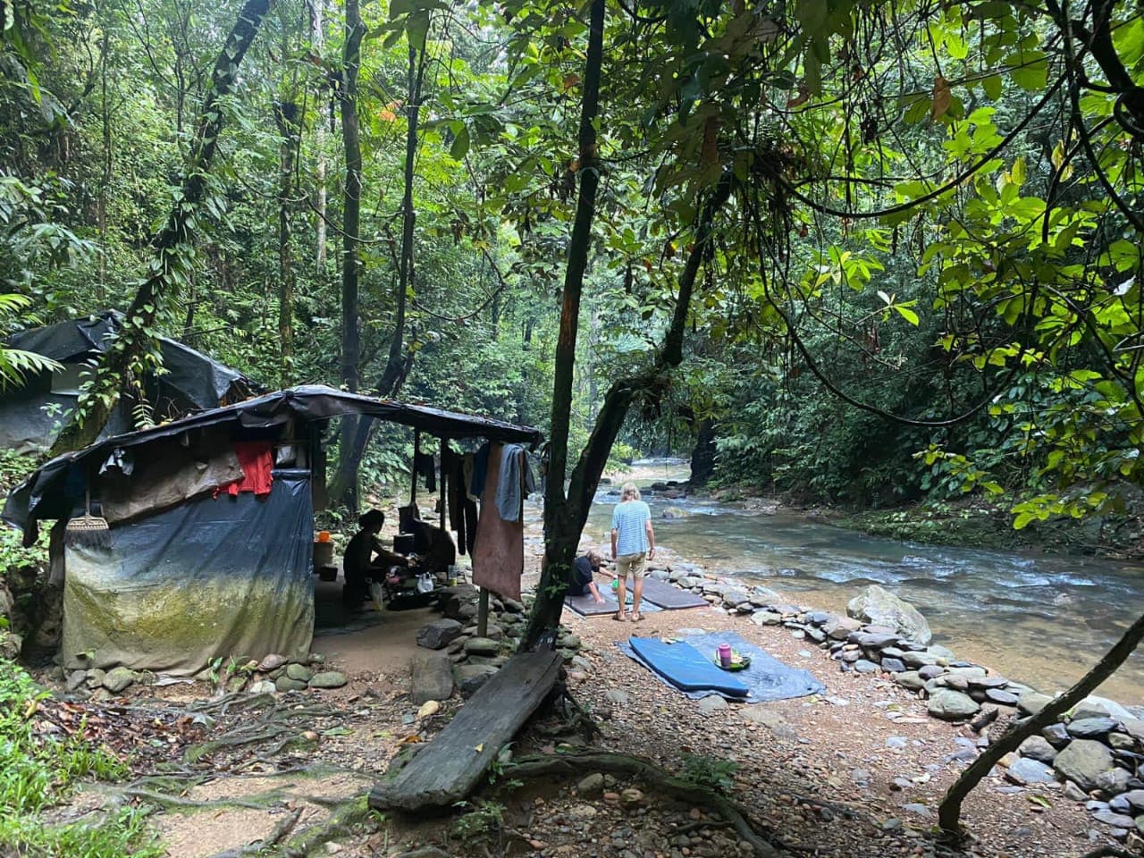 Orangutan Expedition in Bukit Lawang 6