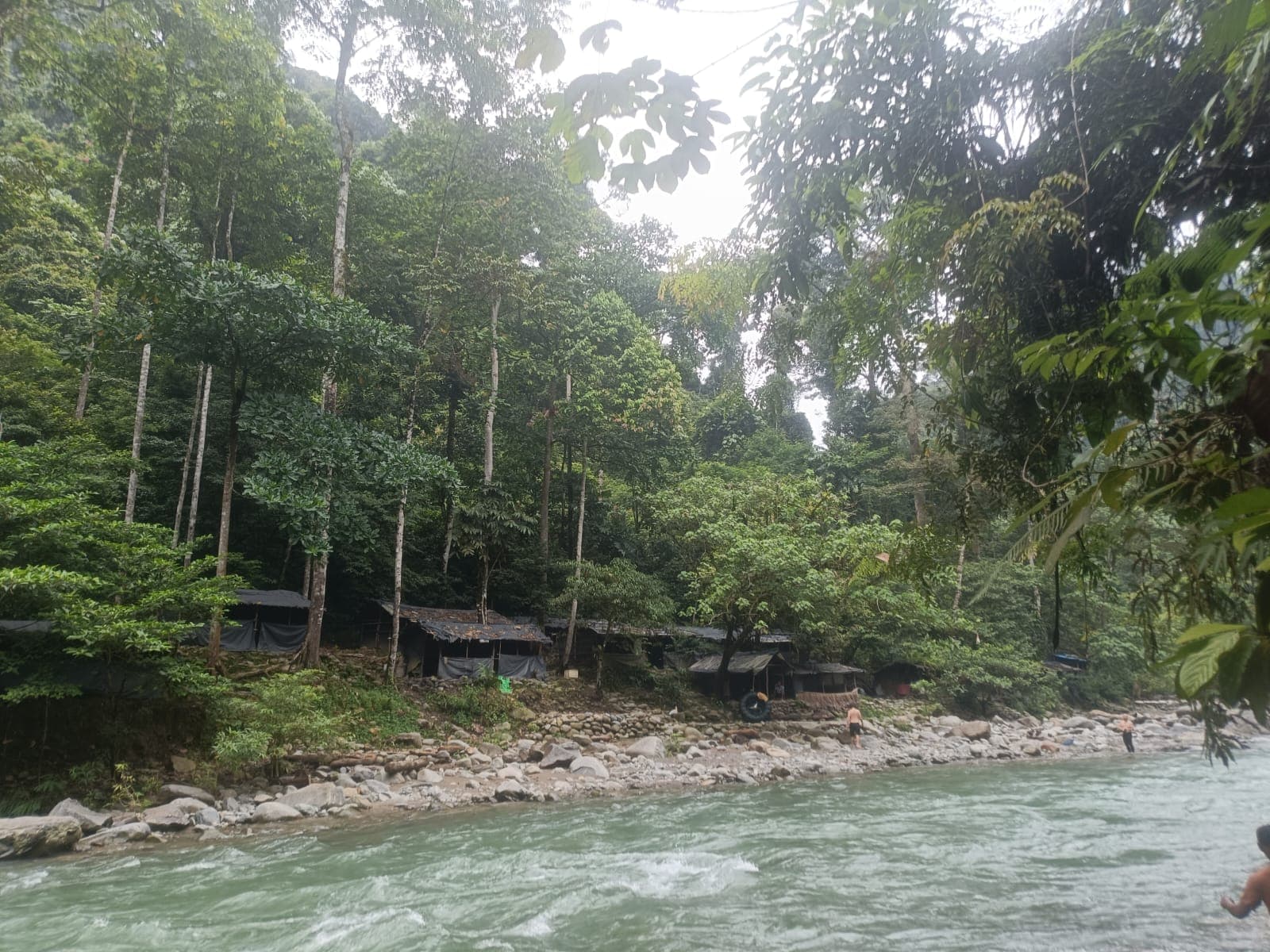 Orangutan Day Trip in Bukit Lawang 6