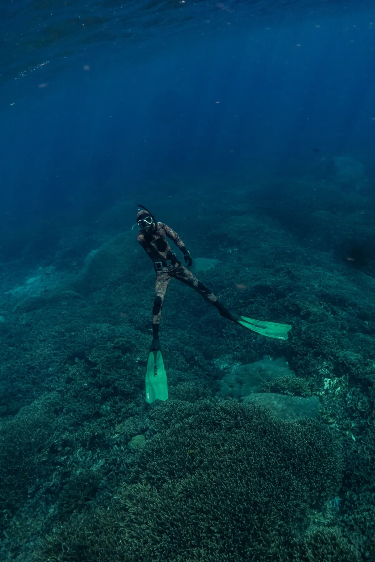 Nusa Penida Snorkeling Day Trip from Bali 1