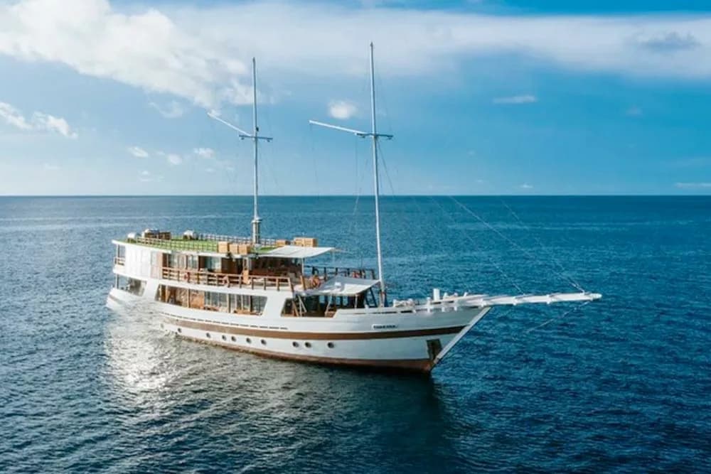 50% OFF | 11 Days Komodo Diving Liveaboard Adventure | July 30th – August 9th