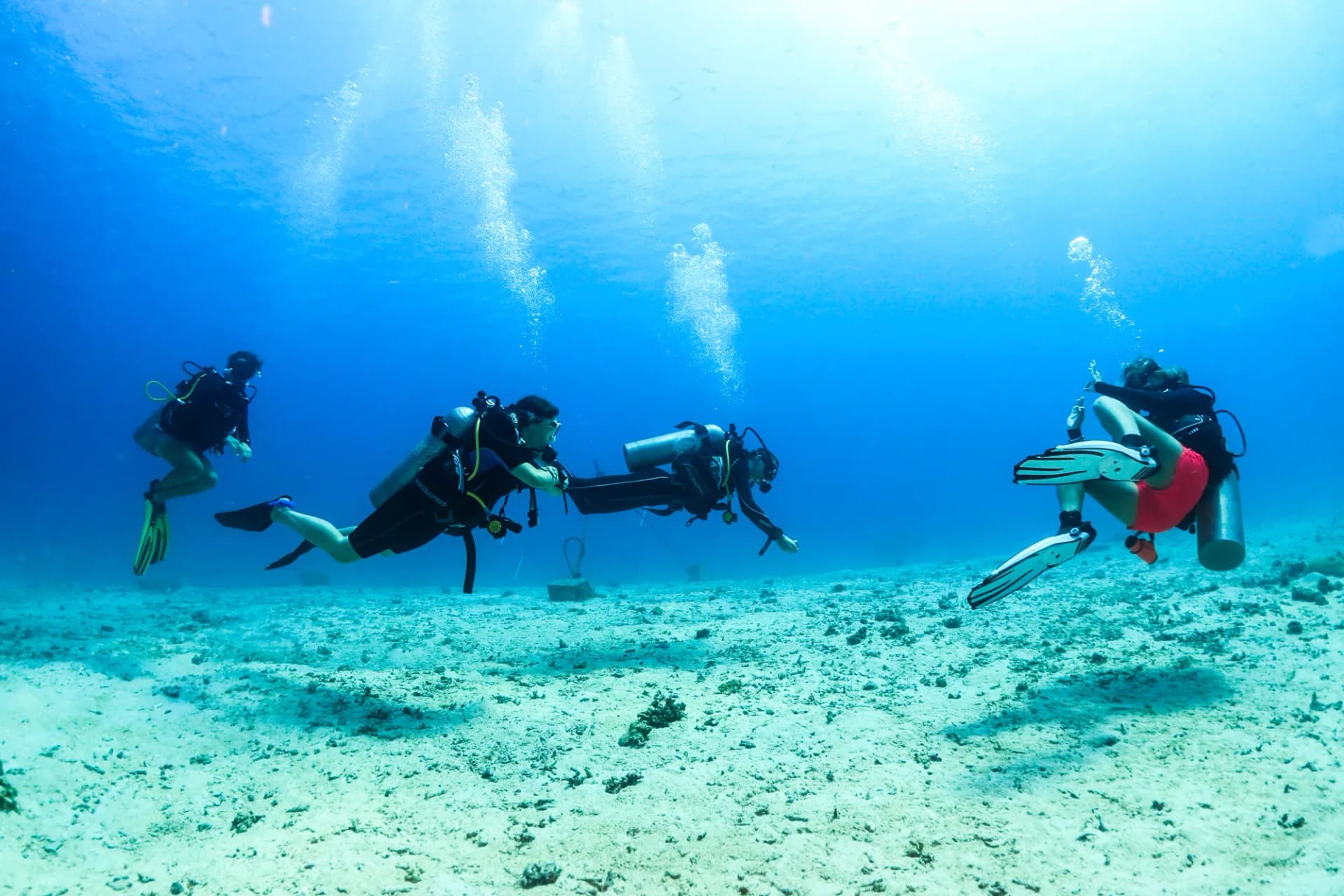 Learn Scuba Diving in Sulawesi
