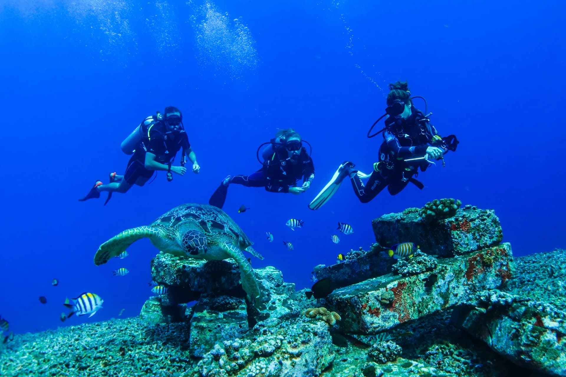 Learn Scuba Diving in Gili Islands 8